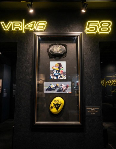 Knee slider signed valentino - slider,